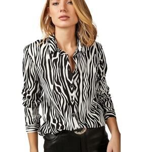 Big Dart zebra striped button up blouse animal print